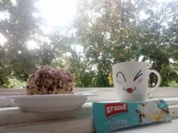 IMG_20180907_175314-01.jpeg