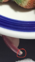 20180909_225129.png