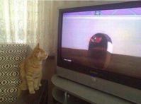 Capture.PNG