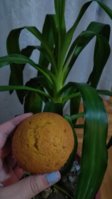 IMG_20180910_210223.jpg