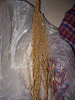 20180911_071142.jpg