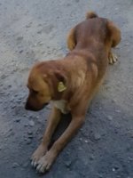 20180913_054656.jpg