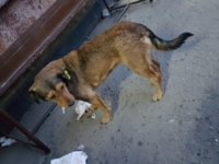 20180913_054705.jpg