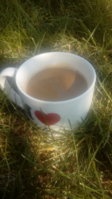 20180913_091946.jpg