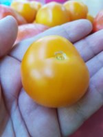 20180914_142743.jpg