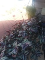 20180915_101225.jpg