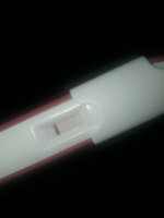 20180918_063241.jpg