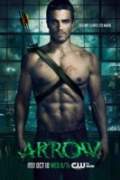 Arrow-Season-1-poster.jpg
