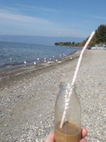 20180919_101046.jpg