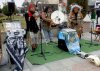 DSC0000487.jpg