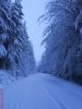 DSC01634.JPG