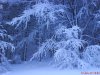 DSC01635.JPG