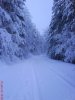 DSC01624.JPG