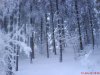 DSC01619.JPG