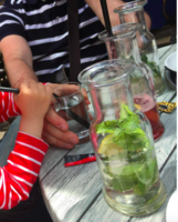 Bildschirmfoto 2018-09-23 um 18.50.15.png