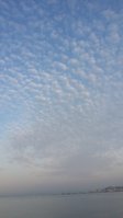 20180824_062806.jpg