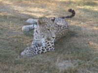 IMG_20180925_154241.jpg