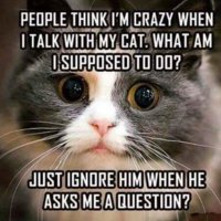 FB_IMG_1538060922517.jpg