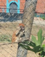 IMG_20180930_154055_696.jpg