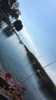 C5B617F3-3814-4DBC-AABD-8D0D9C216F38.jpeg