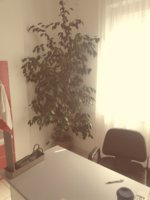 20181002_113138.jpg
