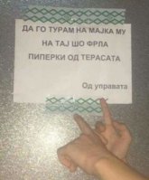 FB_IMG_1538770237448.jpg