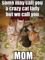 FB_IMG_1538770405739.jpg