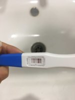 7A03971C-3B8B-4E8F-B9BA-9384A007FE46.jpeg