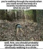 43787698_1945371052209867_778537520471212032_n.png
