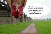 FB_IMG_1536709269326.jpg