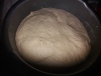 20181014_104822.jpg