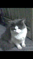 Screenshot_20181014-195236.png