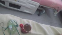 IMG_20181015_111132.jpg