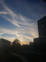 20181019_082840.jpg