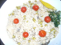 DSCN0510.JPG