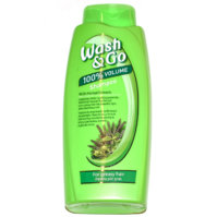 77121028 wash and go shampoo.jpg