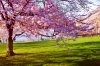spring-lifestyle.jpg