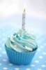 Blue-Cupcake-Birthday-Cakes.jpg