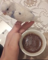 20181028_144817.jpg