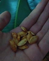 IMG_20181030_163758_609.jpg
