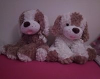 IMG_20181102_124443.jpg