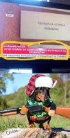 FB_IMG_1541446637612.jpg