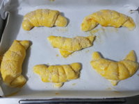20181119_155959.jpg