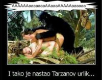 FB_IMG_1542620443993.jpg