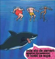 FB_IMG_1543431864322.jpg