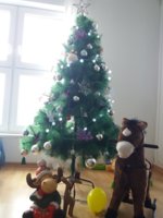20181201_122713.jpg