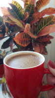 20181202_112445.jpg