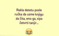 FB_IMG_1543940790676.jpg