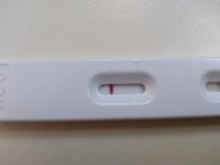 IMG_20181206_071131.jpg