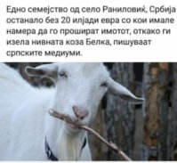 420F4333-97C5-44AB-B5FC-045113976E05.jpeg